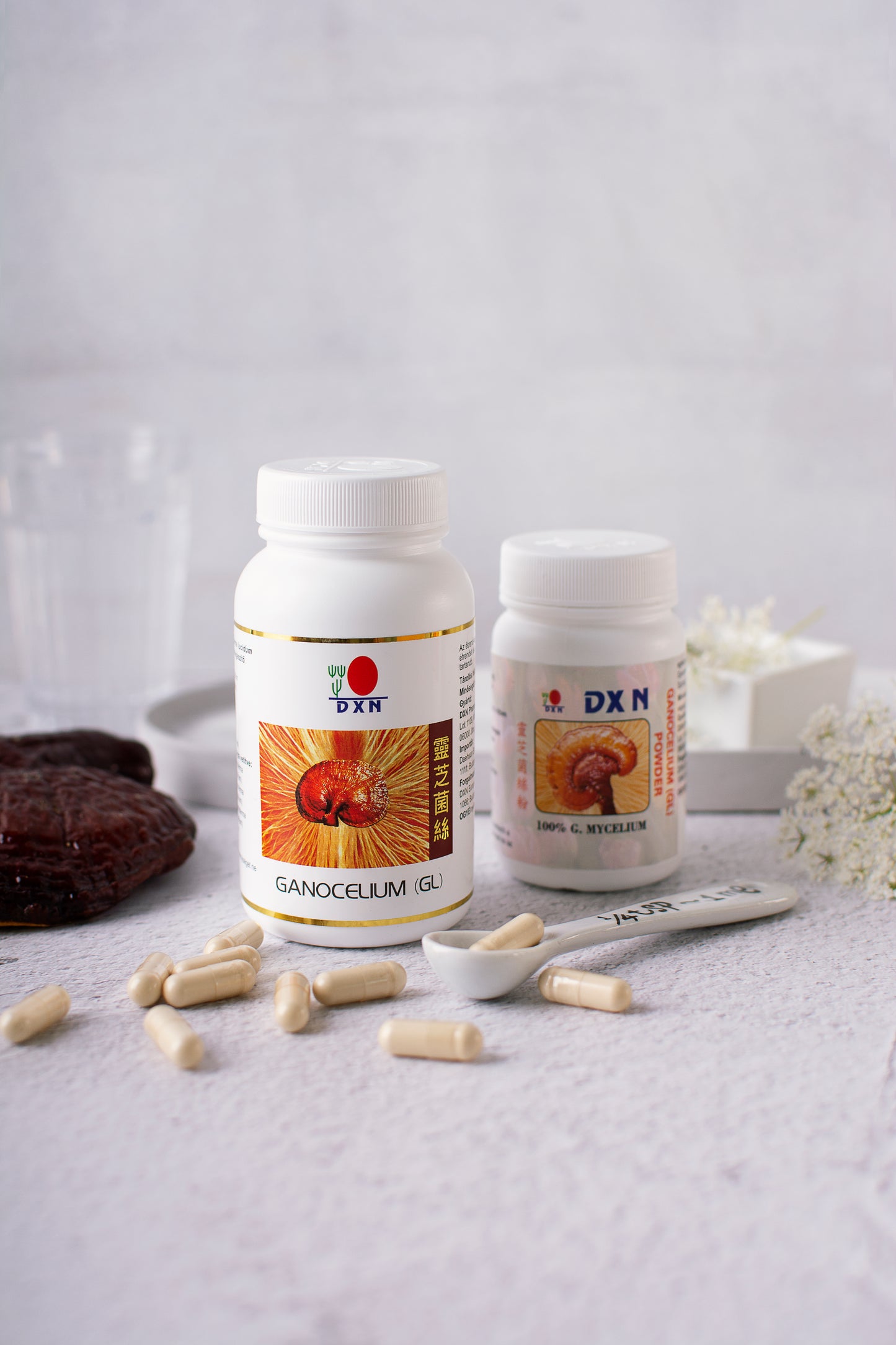 DXN GL 30 capsules Ганоцелиум 30 капсули (20,43 euro)